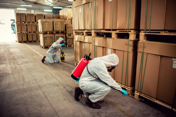 Best Pest Prevention Services  in Beverly, NJ