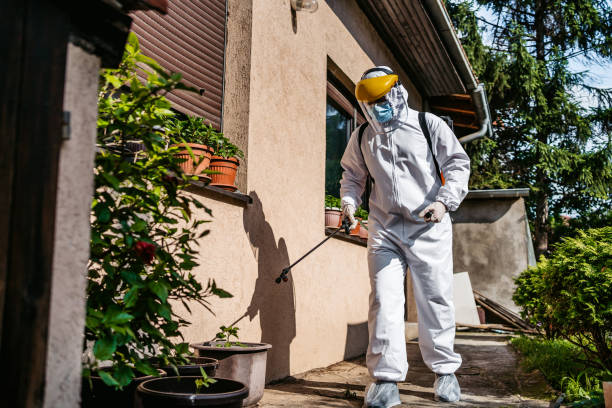 Best Bird Control  in Beverly, NJ