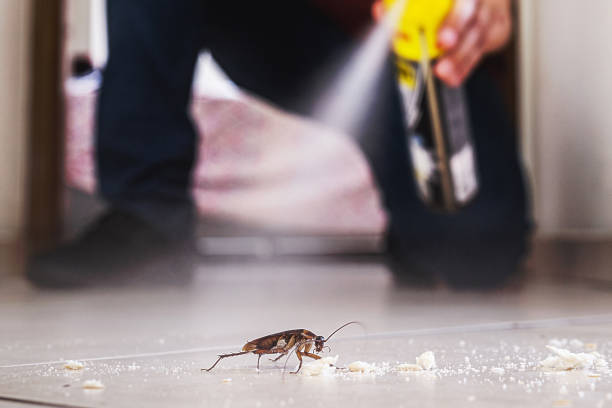 Best Ant Control Services  in Beverly, NJ