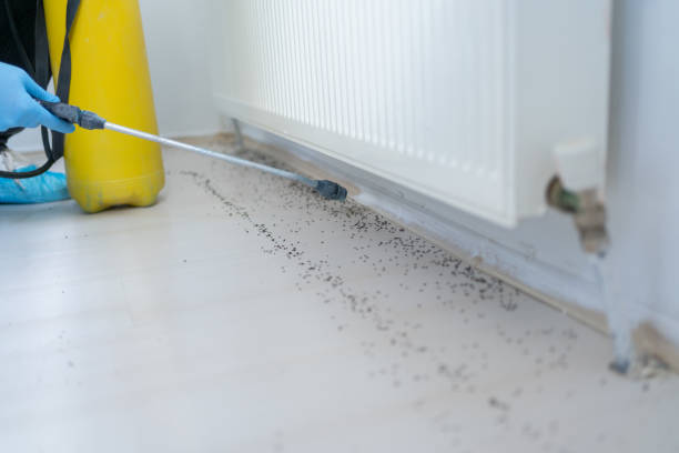 Best Affordable Pest Control Services  in Beverly, NJ