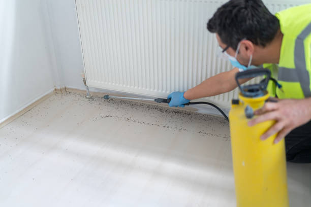 Professional Pest Control in Beverly, NJ