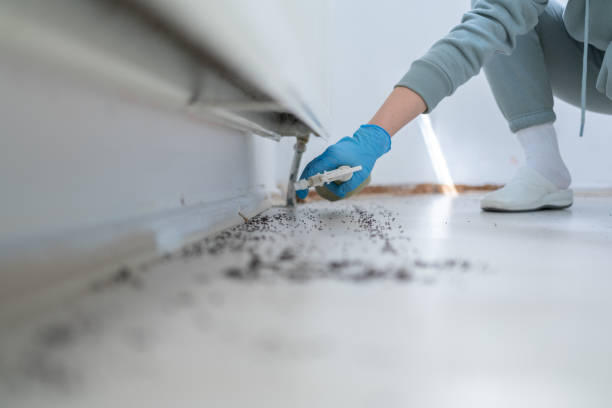 Best Mosquito Control Services  in Beverly, NJ